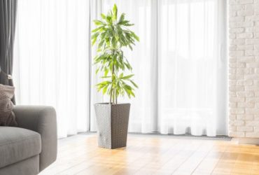 Foyer: un atout et des crédits à connaitre avant votre prochain achat