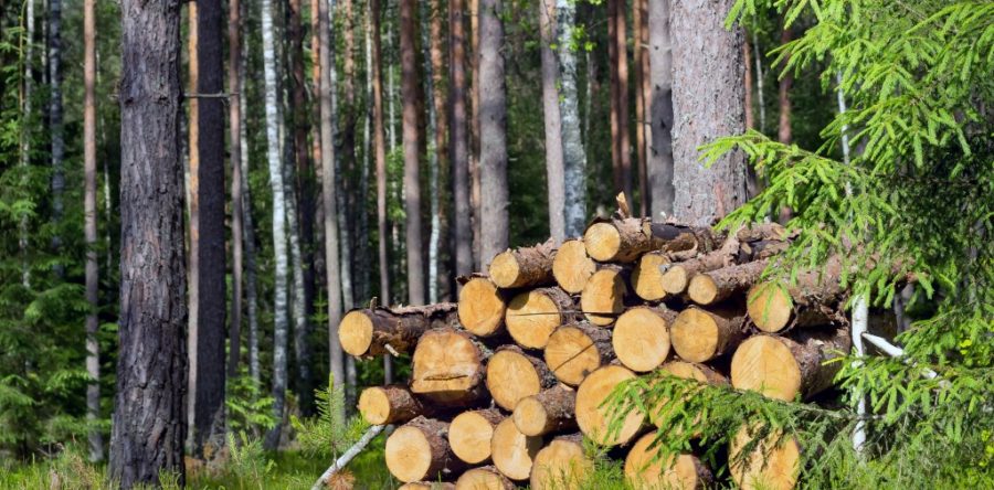 Un chauffage écologique avec les poêles à bois