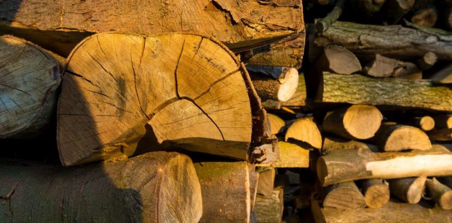 Quel type de bois brûle le mieux?