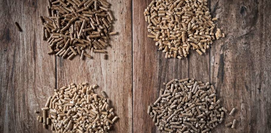 Que dois-je rechercher lorsque j’achète des granules ?