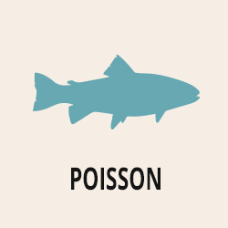 Section de poisson