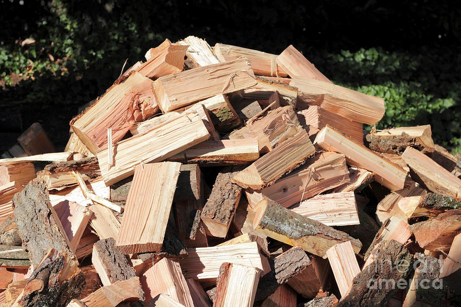 Is there a “best” wood to burn?