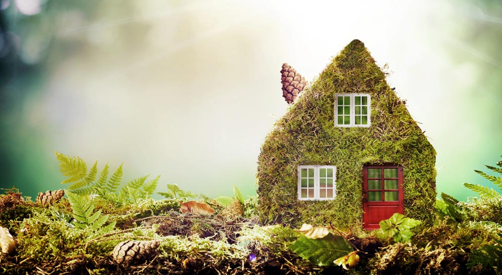 Quel type de foyer est le plus écologique?
