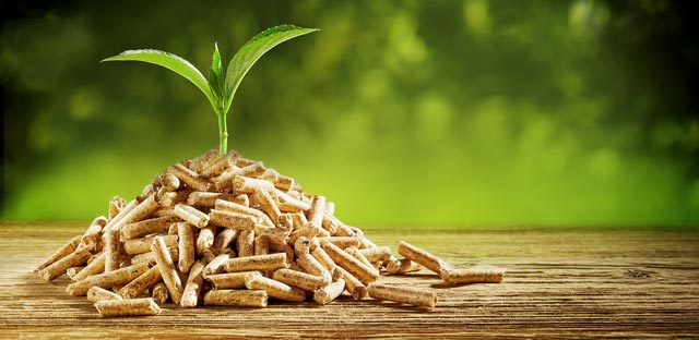 Pourquoi chauffer aux granules, pourquoi est-ce avantageux de chauffer avec des granules de bois. Granules de bois, bon pour l'environement.