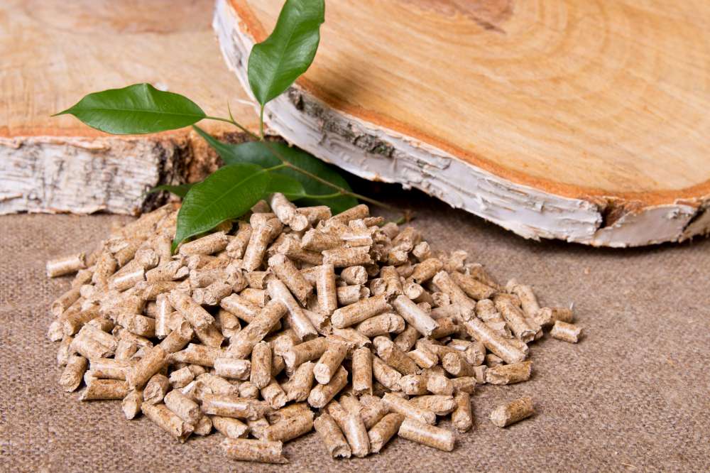 Chauffer avec des granules ou au bois? Quel combustible devrais-je choisir?