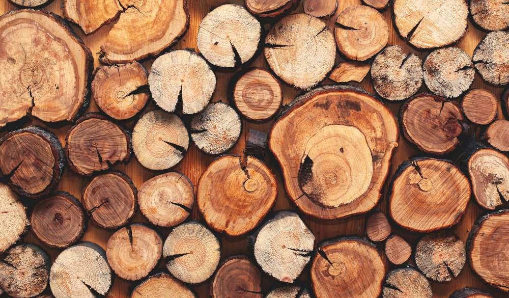 Chauffer avec des bûches de bois? Quel combustible devrais-je choisir?