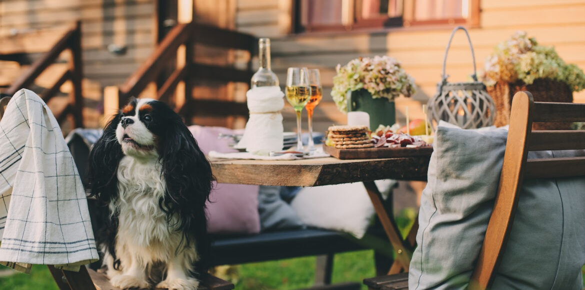 6 astuces pour créer un espace jardin hygge