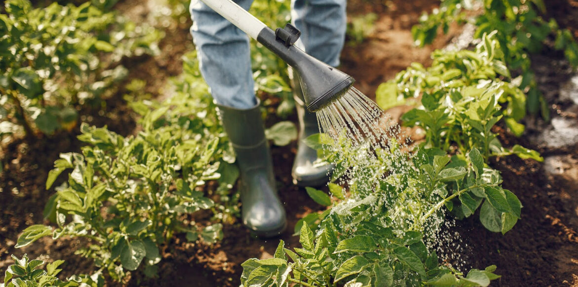 Tout ce que vous avez toujours voulu savoir sur les barbecues au charbon de bois sans jamais oser le demander… Partie 2 - jardin